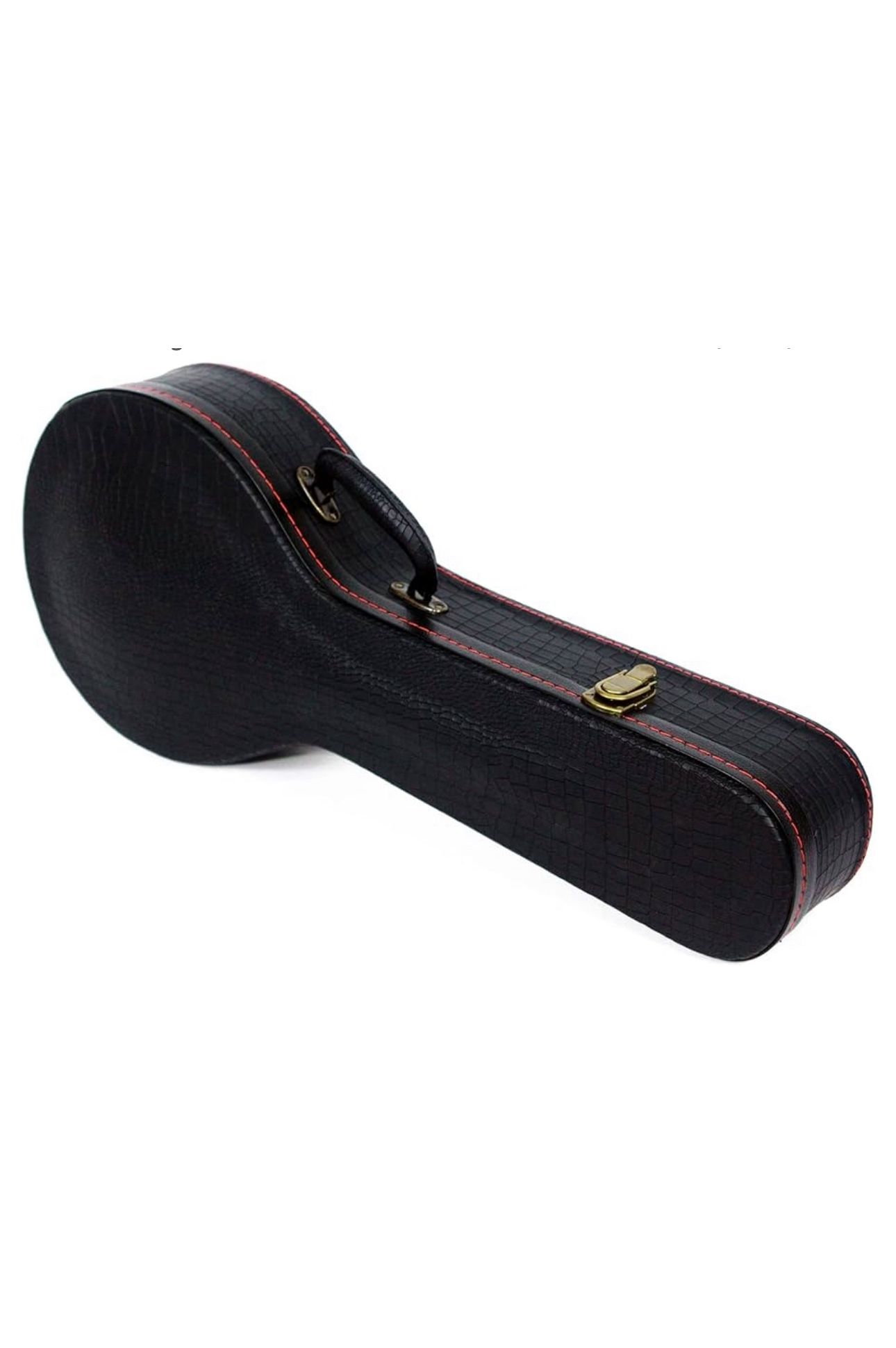 Mandolin Hard case Roaring Lion