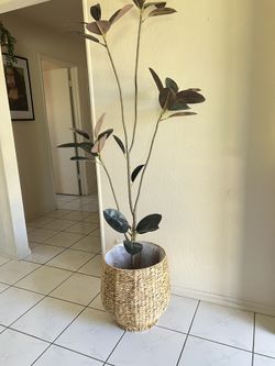 New Large Wicker Planter 14.5” Wide By 17” Height 