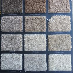 CARPET