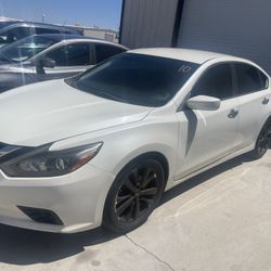 Nissan Altima Sentra Maxima 