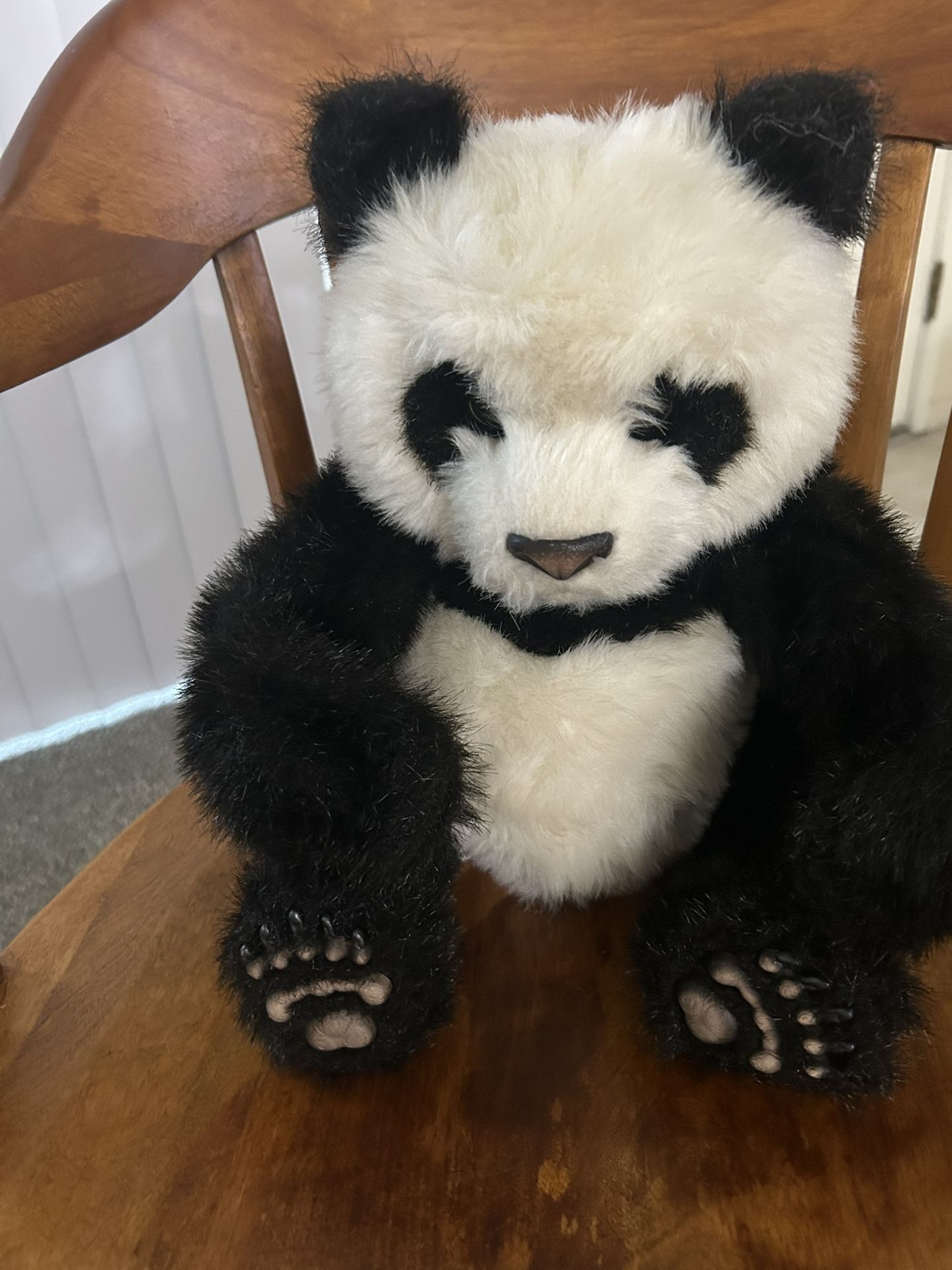 The Curious Panda Bear Plush