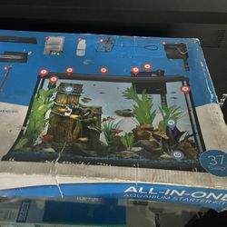 Fish Tank