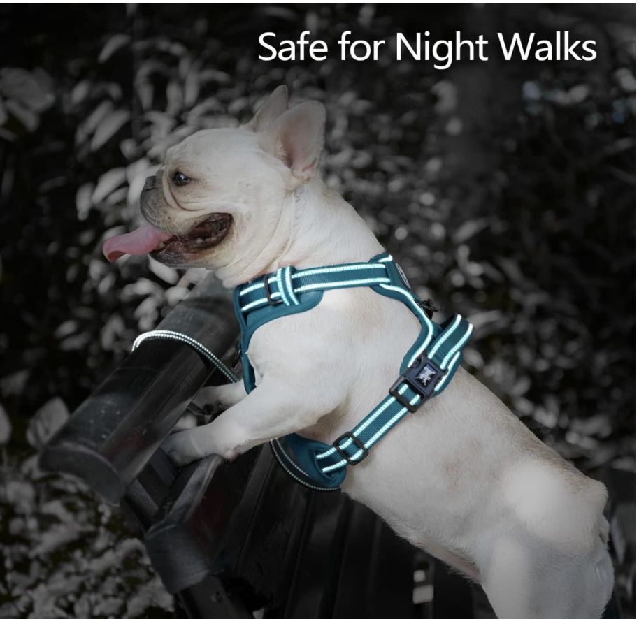 No Pull Reflective Dog Harness