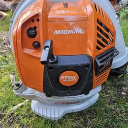 STIHL Magnum BR 800 X In Spectacular Condition Runs Great Prices Firm No Offers No Trades