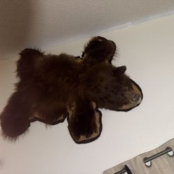 Real Antique Bear Skin