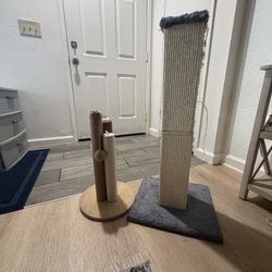 Cat Scratchers