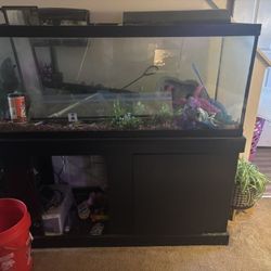 Aquarium Fish Tank 