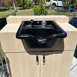 Complete Portable hair washing station
