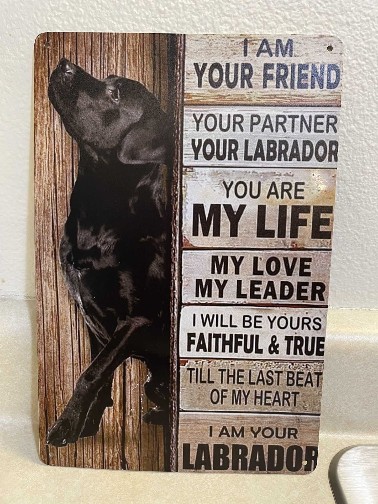 Wall Sign