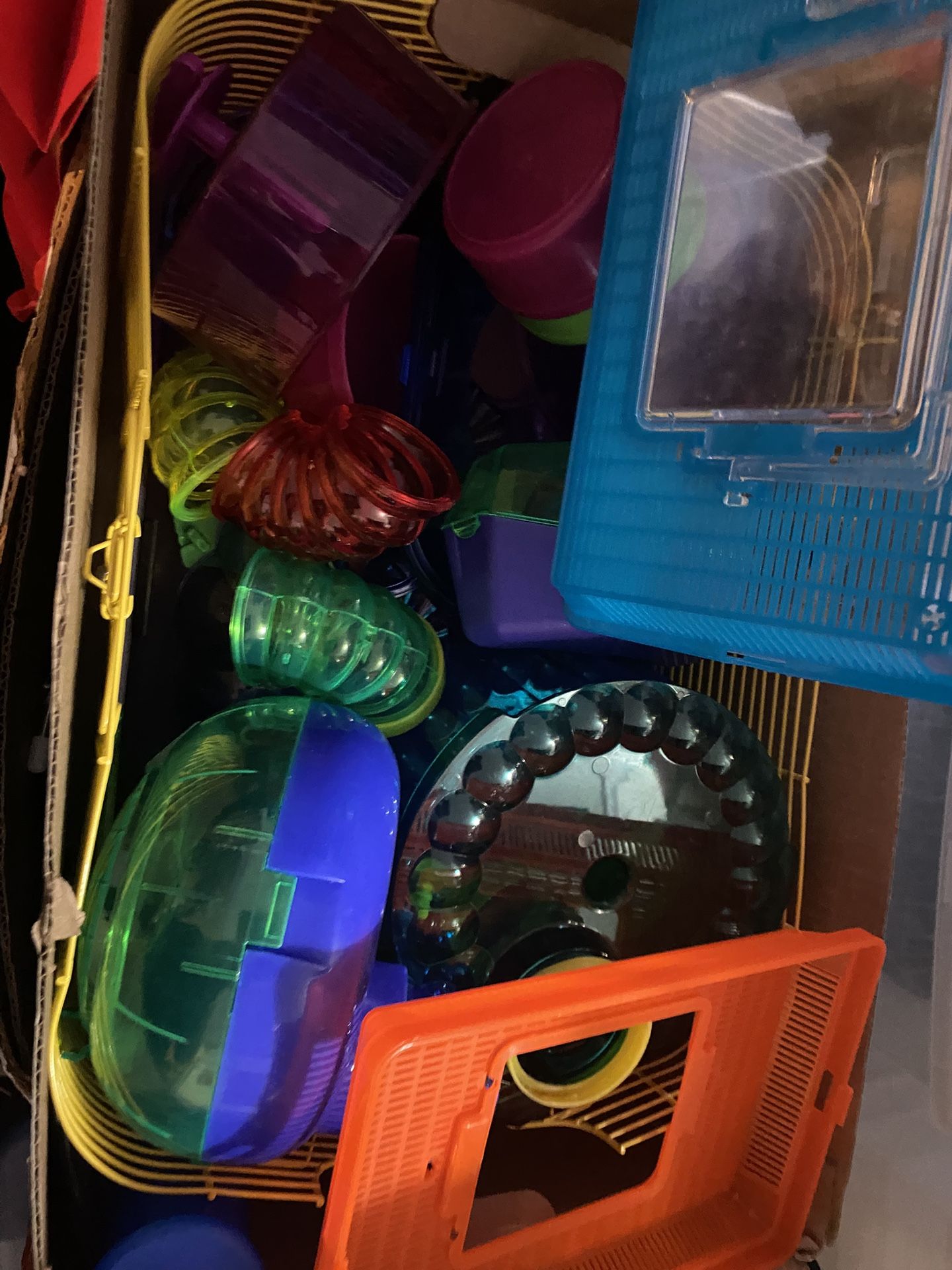 Hamster Cage