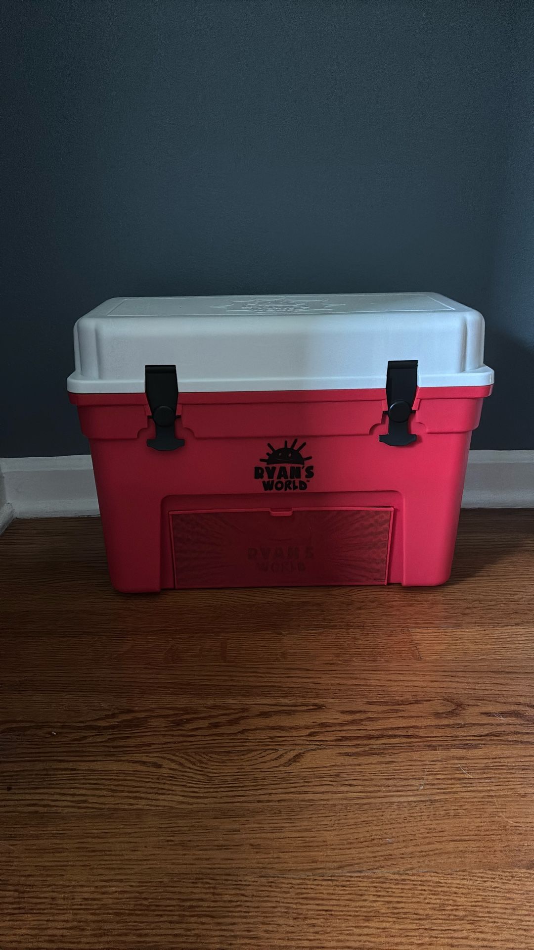 Ryan's World Awesome Cooler Surprise Mystery Set