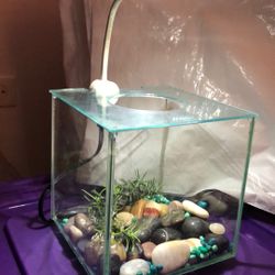 Cube Fish Betta Aquarium Kit Light Lit Pet Supply