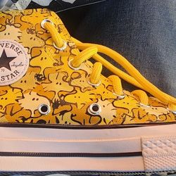 Converse x Peanuts Chuck Taylor 70 Hi Woodstock