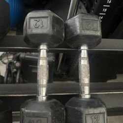 12 Lb Dumbbells (Pair) 