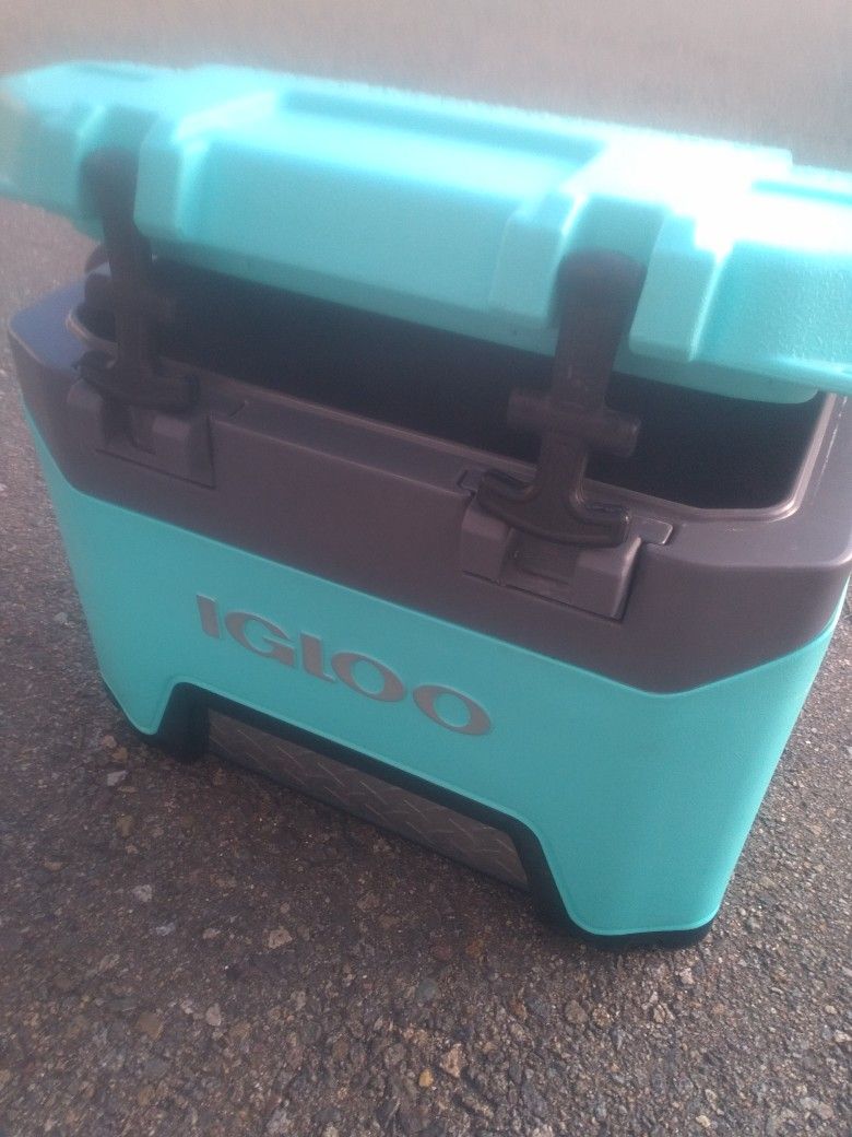 Igloo Turquoise Color