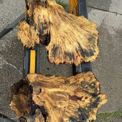 Buckeye Burl Slices