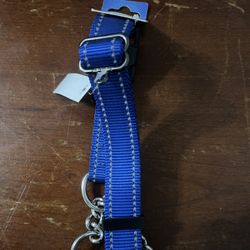 Blue Dog Collar