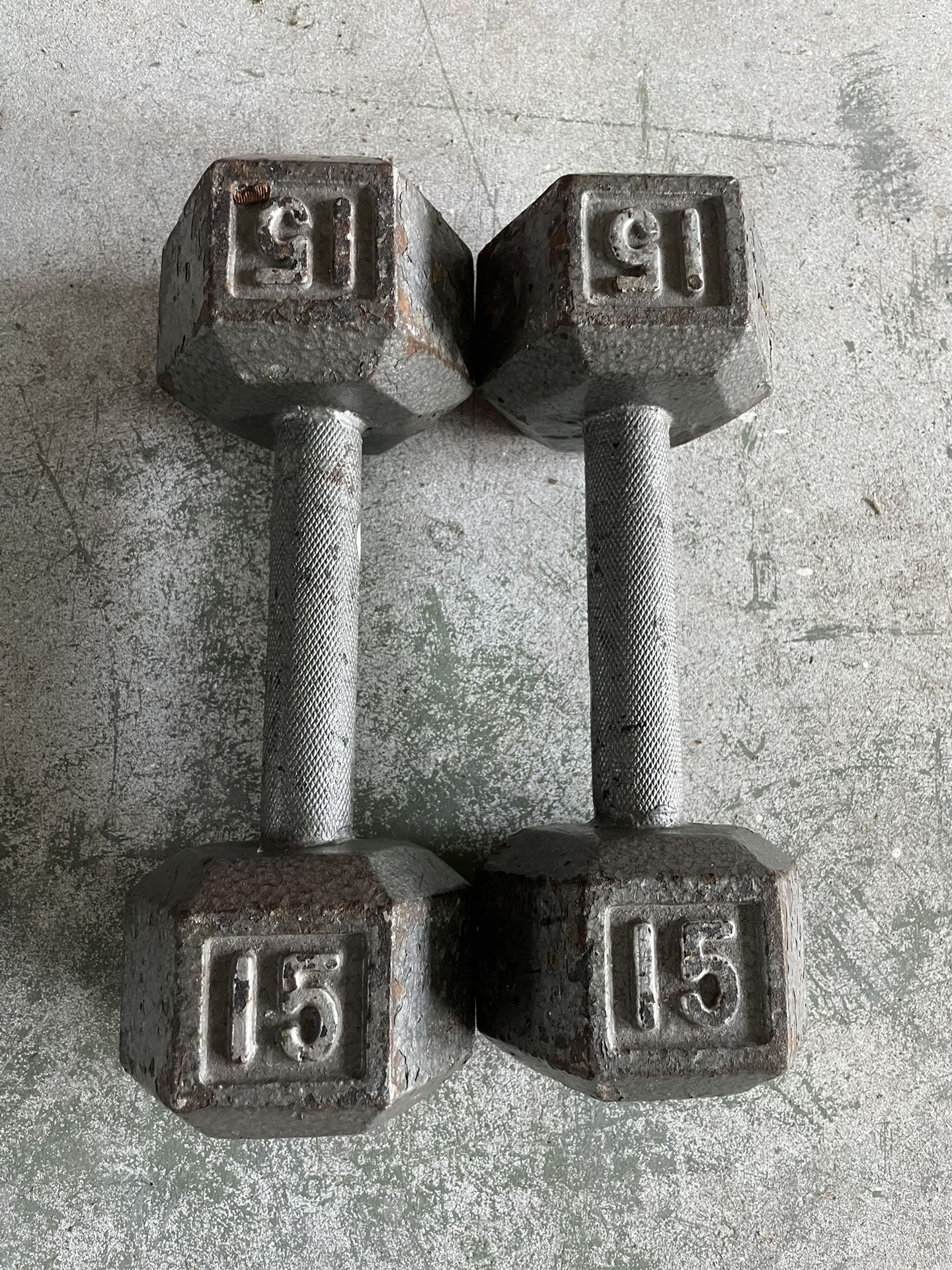 15 Lb Dumbbell Pair
