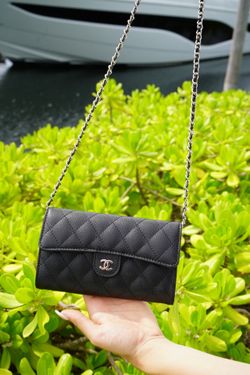 bag  wallet