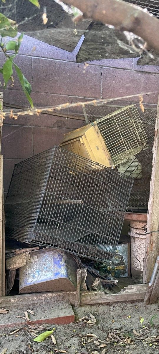 Pet Cage Bird / Hampster Cage With Decorations 3 Cages