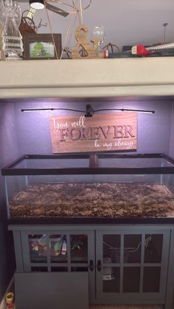 60 Gallon Aluminum/Fish Tank