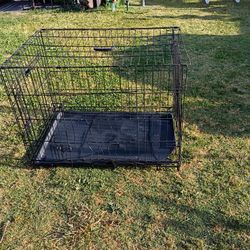 Big Dog Crate 2 Door