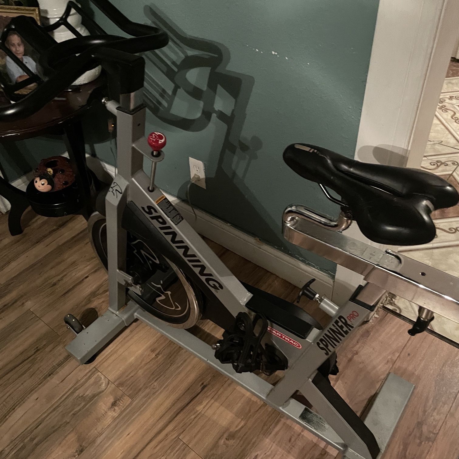 Spinner Pro Cycling Cardio 