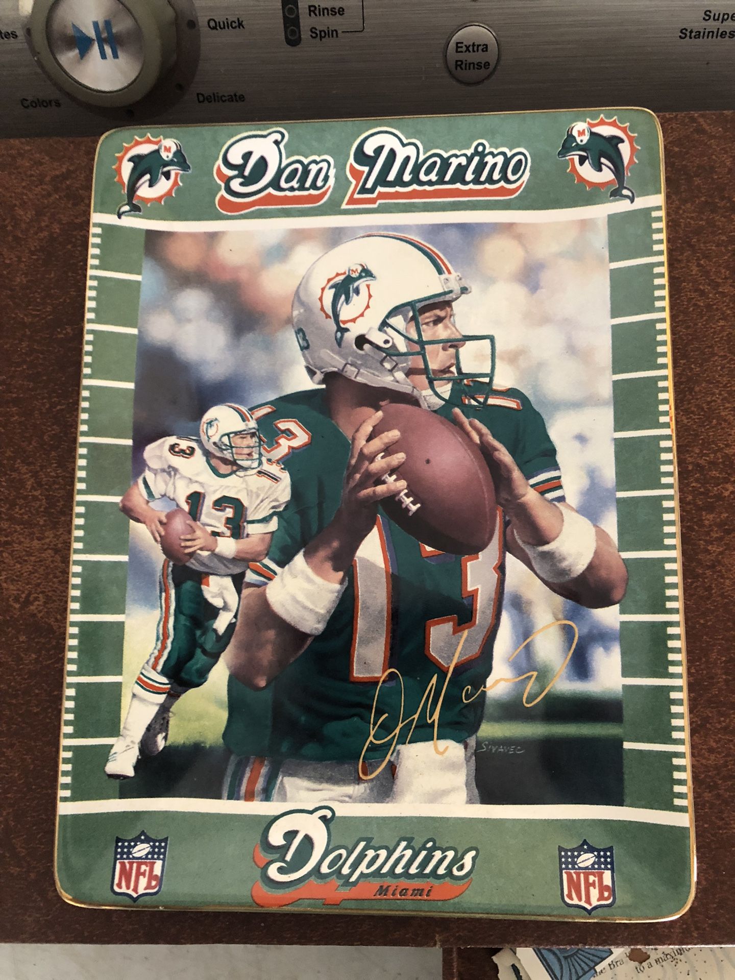 Dan Marino 369 Touchdowns Porcelain Plate