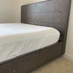 Room and Board Hudson Queen BED Storage Bed Ash wood & Stainless   Price is firm!! serious buyers please!  Used condition; Cash or Venmo pickup near I