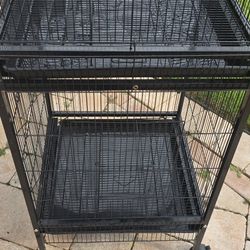 Bird Cage 