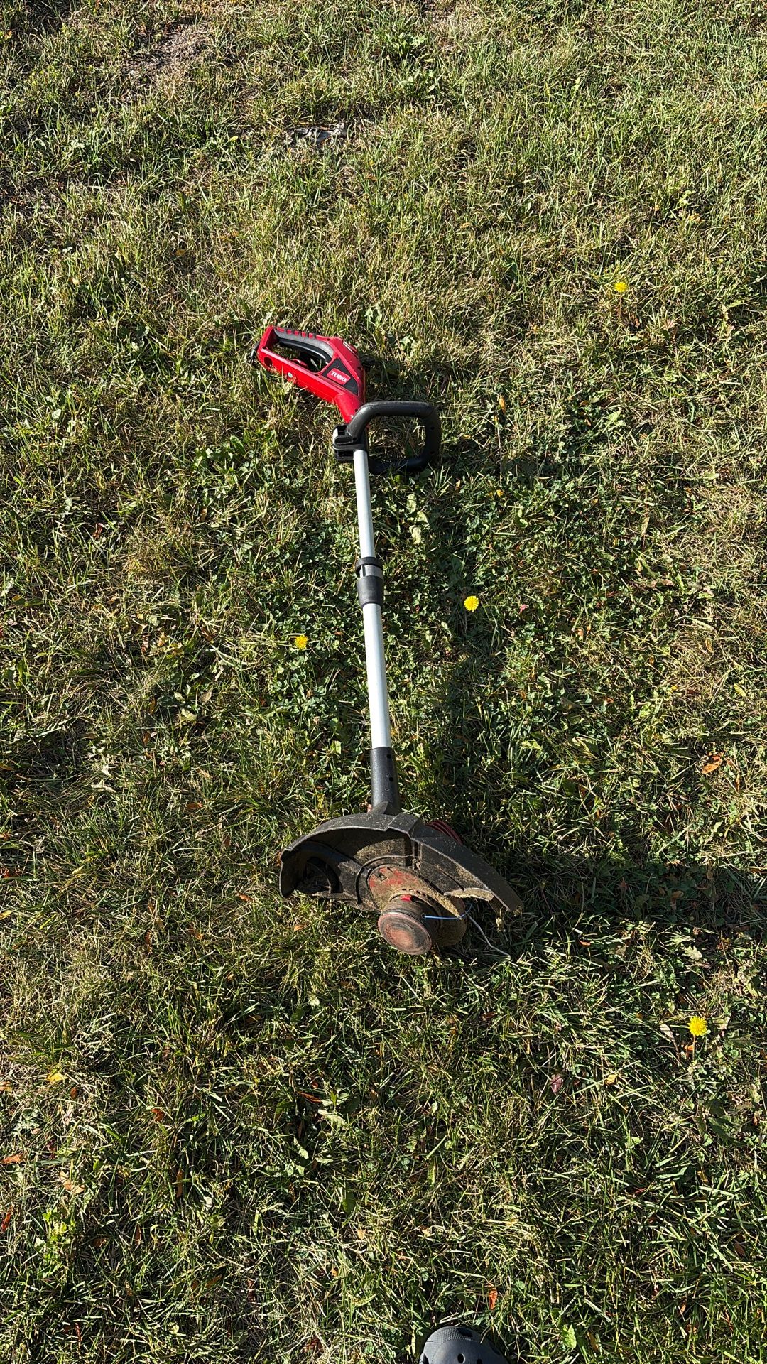 Toro (Wired) Lawn Edger