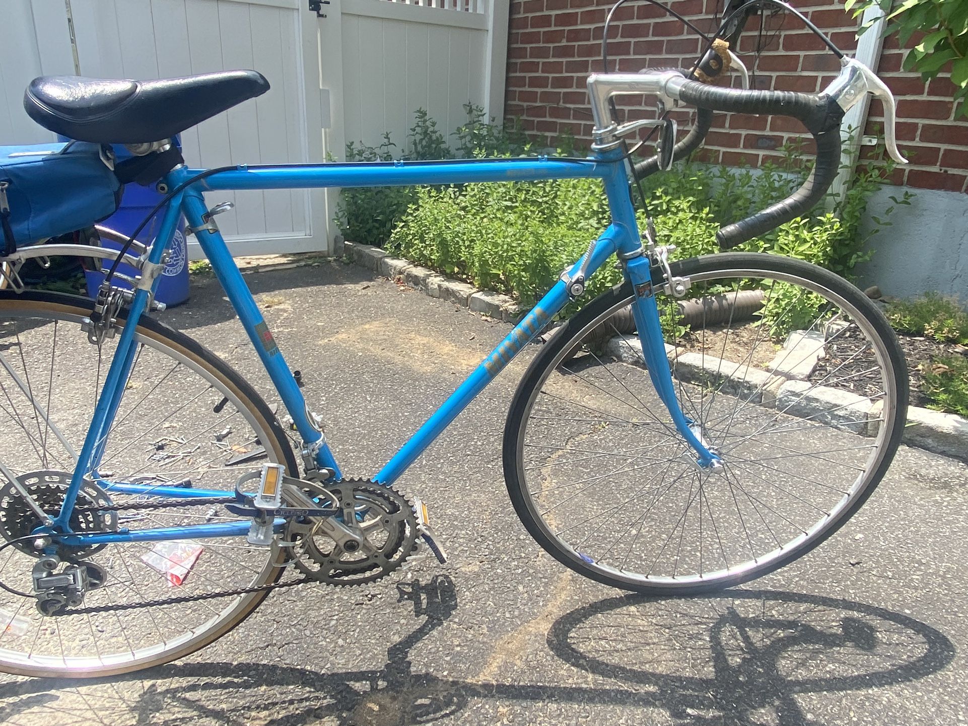 Schwinn Speed Bicycle