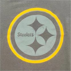 Nike Dri-FIT Pittsburgh Steelers Training T-Shirt Mens XL NFL Team Tee 