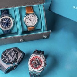 WRISTCHECK Watch Protective Roll