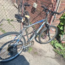 Bicycle
