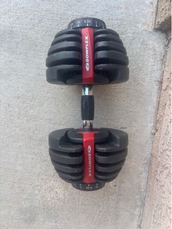 One Bowflex Dumbbell