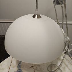 Plug in Pendant Light Fixture 
