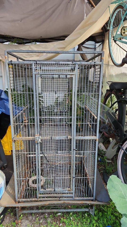 Large Birds Cage