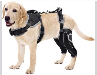 Lispoo Dog Knee Support for ACL Tear Rehabilitation and Dislocated Patella -Adjustable Leg Support and Sufficient Breathability,Injury Recovery size L