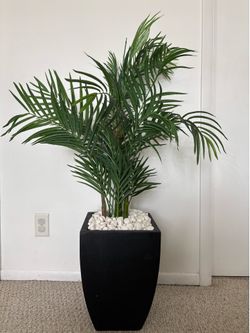 Artificial Decorative Plant with Stones