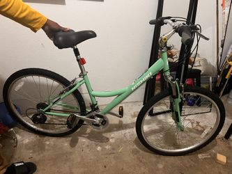Nishiki Bike