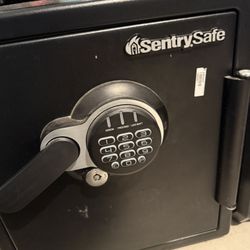 Sentry Safe