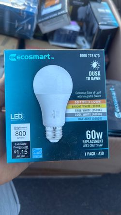 EcoSmart A19 LED Dusk to Dawn Bulb 60W