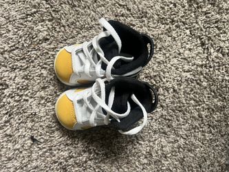 Jordan retro 6