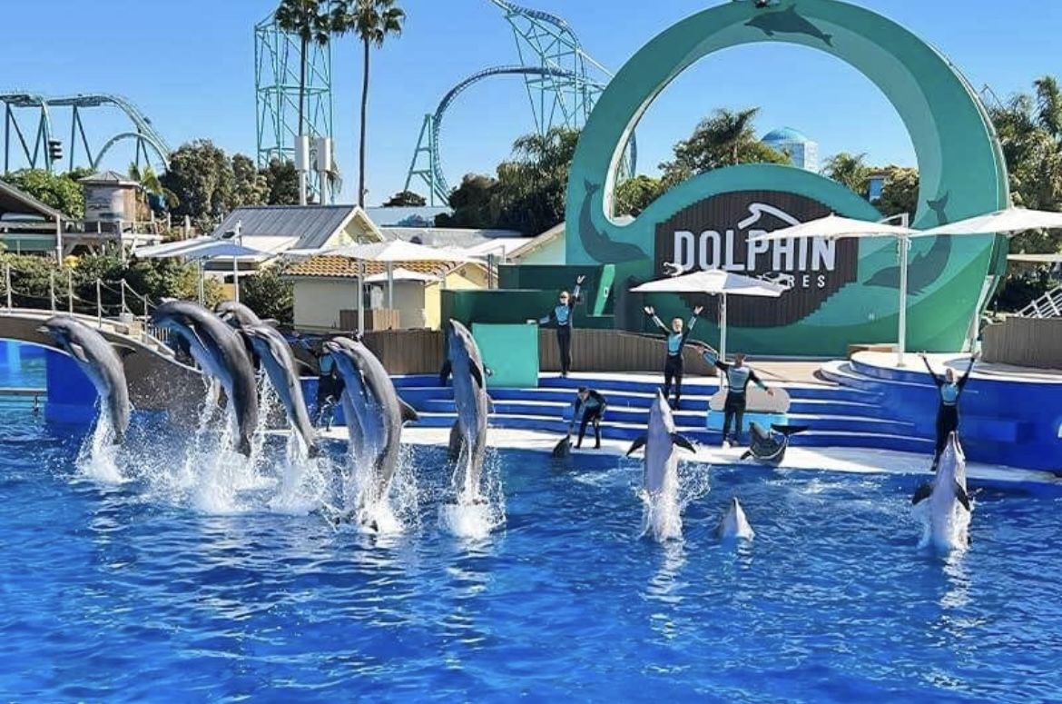 Seaworld Tickets