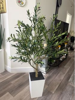 Pretty artificial plant Olive 🫒 5 ft tall with tall planter ! Brand new