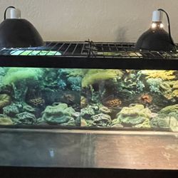 Tank 75 Gallons/ Lamps And Filter