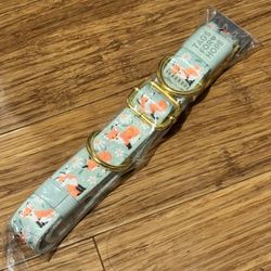 Dog collar (Brand new)