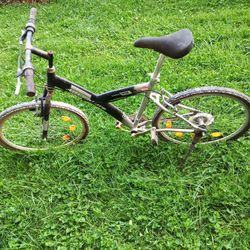 Bike Bicycle Mountain Bike Murray 