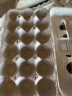Empty Egg cartons